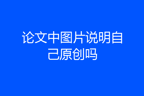 论文中图片说明自己原创吗