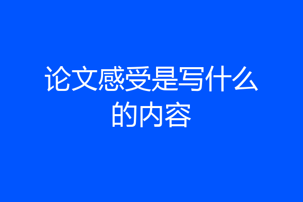 论文感受是写什么的内容