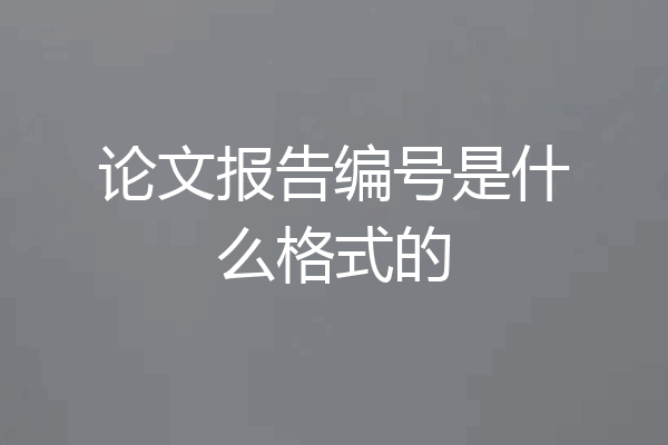 论文报告编号是什么格式的