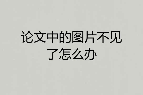 论文中的图片不见了怎么办