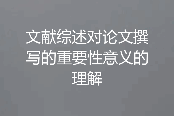 文献综述对论文撰写的重要性意义的理解