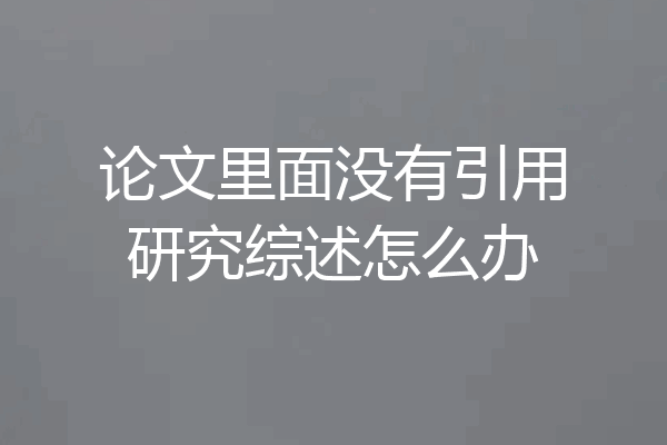 论文里面没有引用研究综述怎么办