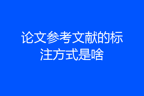 论文参考文献的标注方式是啥