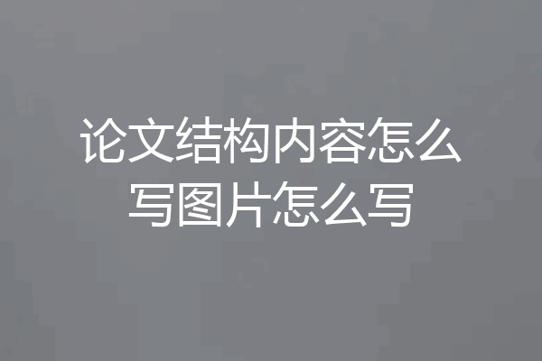 论文结构内容怎么写图片怎么写