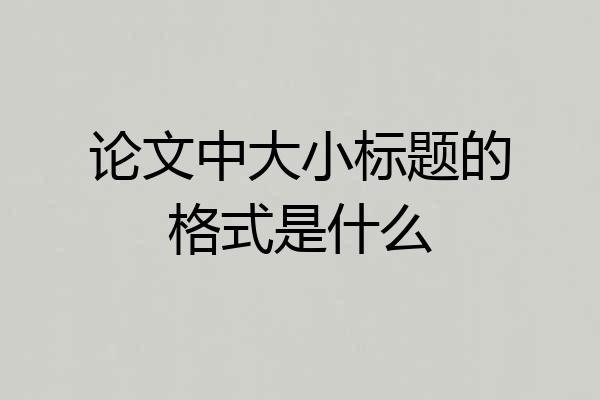 论文中大小标题的格式是什么