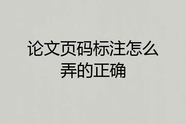 论文页码标注怎么弄的正确