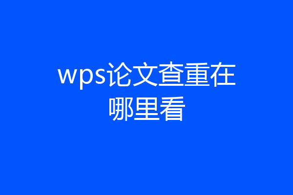 wps论文查重在哪里看
