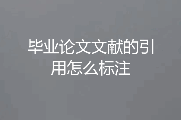 毕业论文文献的引用怎么标注
