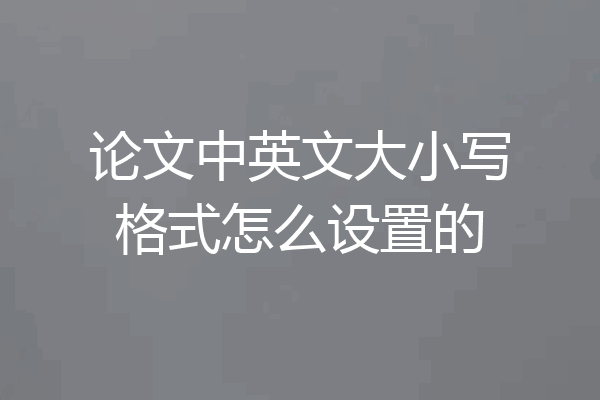 论文中英文大小写格式怎么设置的