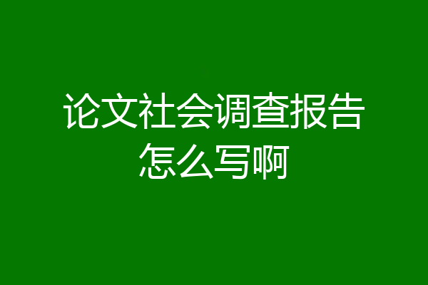 论文社会调查报告怎么写啊