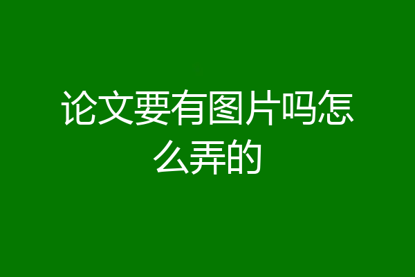 论文要有图片吗怎么弄的