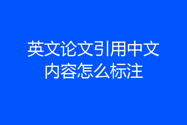 英文论文引用中文内容怎么标注