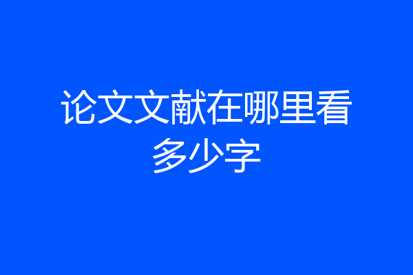 论文文献在哪里看多少字