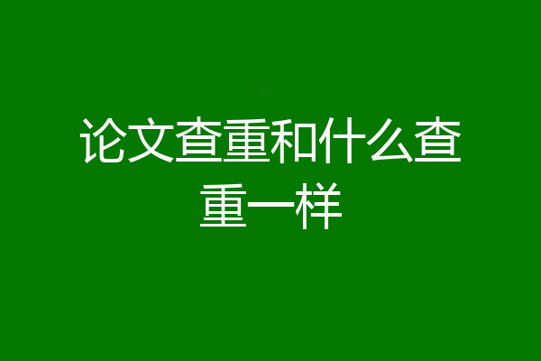 论文查重和什么查重一样