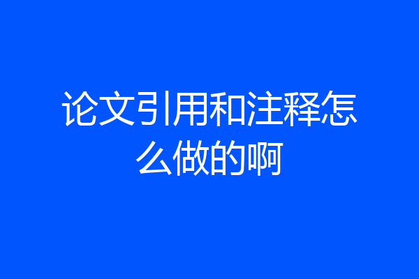 论文引用和注释怎么做的啊