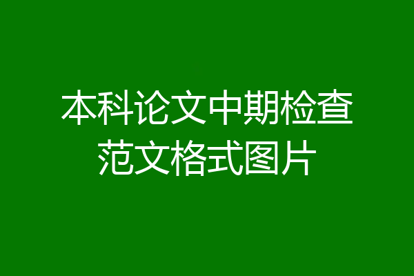 本科论文中期检查范文格式图片