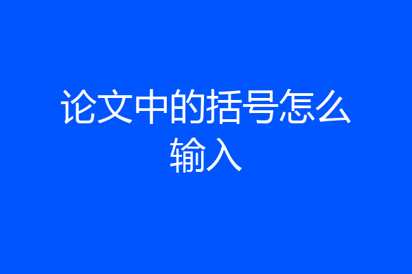 论文中的括号怎么输入