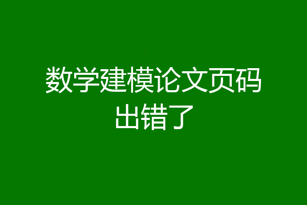 数学建模论文页码出错了