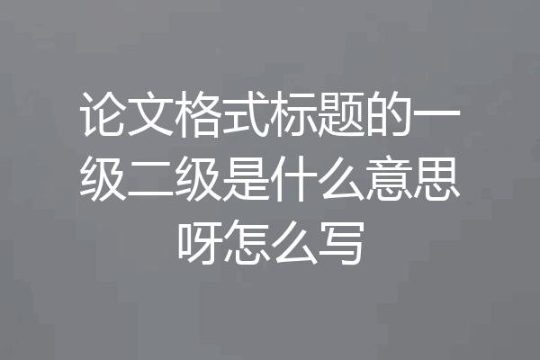 论文格式标题的一级二级是什么意思呀怎么写