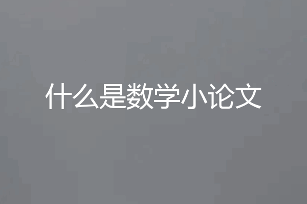 什么是数学小论文