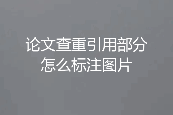 论文查重引用部分怎么标注图片