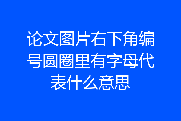 论文图片右下角编号圆圈里有字母代表什么意思