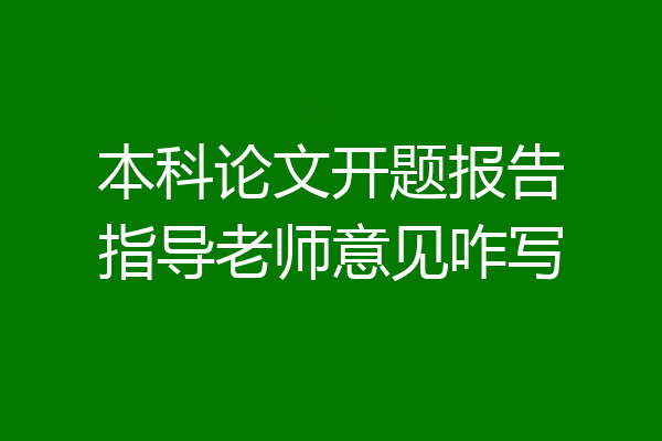 本科论文开题报告指导老师意见咋写