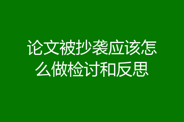 论文被抄袭应该怎么做检讨和反思