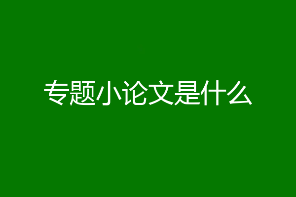 专题小论文是什么