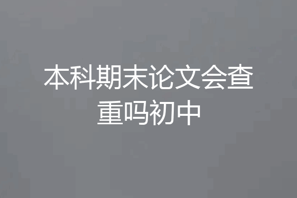 本科期末论文会查重吗初中