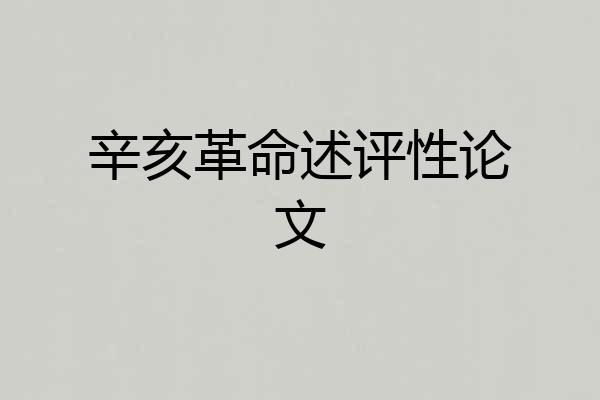 辛亥革命述评性论文
