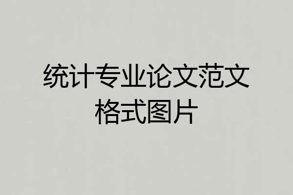 统计专业论文范文格式图片