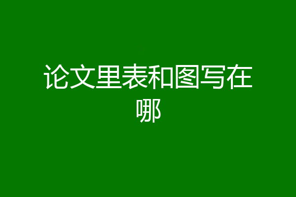 论文里表和图写在哪