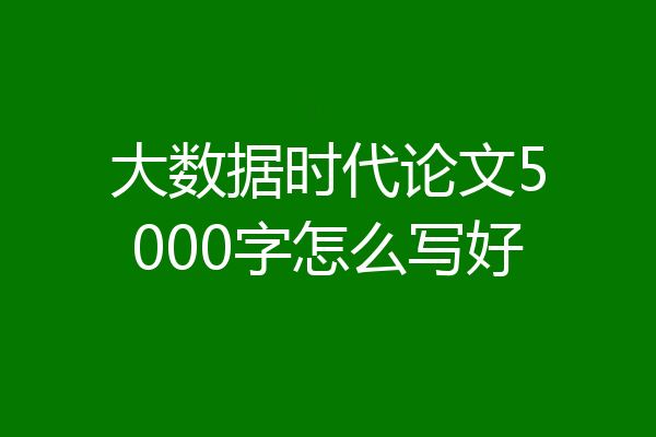 大数据时代论文5000字怎么写好