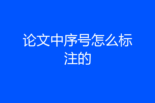 论文中序号怎么标注的