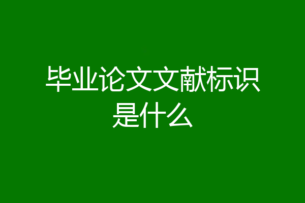 毕业论文文献标识是什么