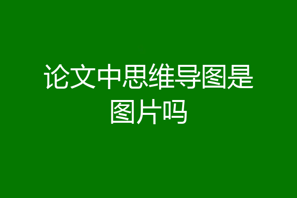 论文中思维导图是图片吗