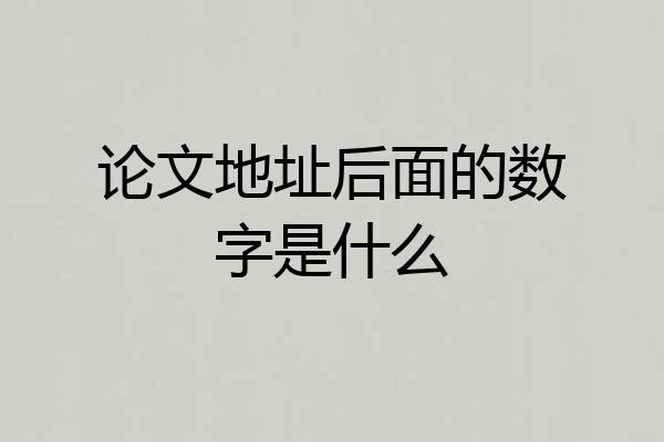 论文地址后面的数字是什么