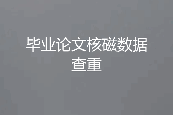 毕业论文核磁数据查重