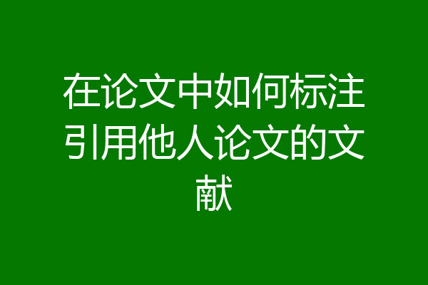 在论文中如何标注引用他人论文的文献