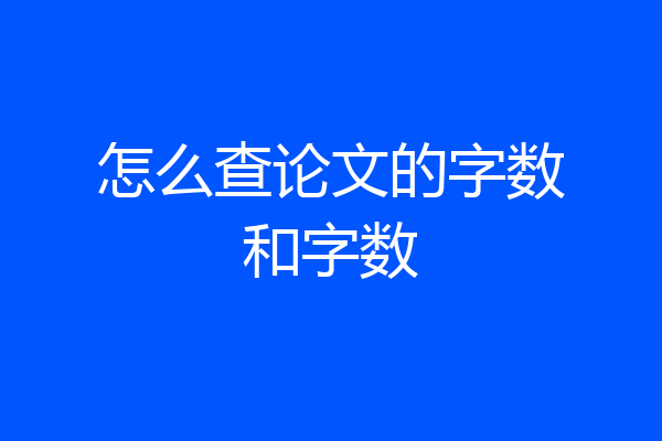 怎么查论文的字数和字数