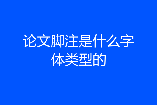 论文脚注是什么字体类型的