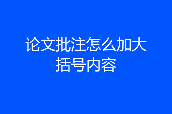 论文批注怎么加大括号内容