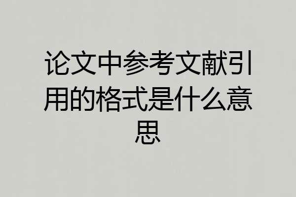 论文中参考文献引用的格式是什么意思