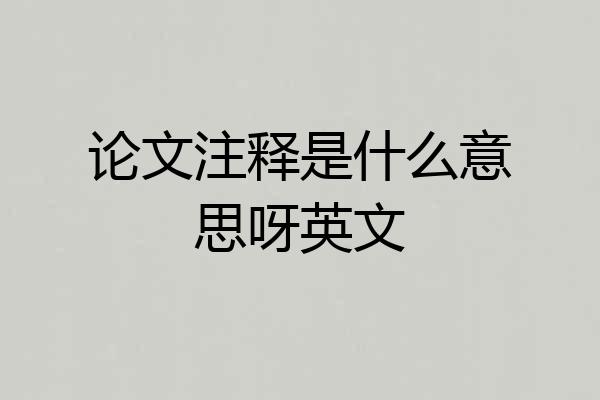 论文注释是什么意思呀英文