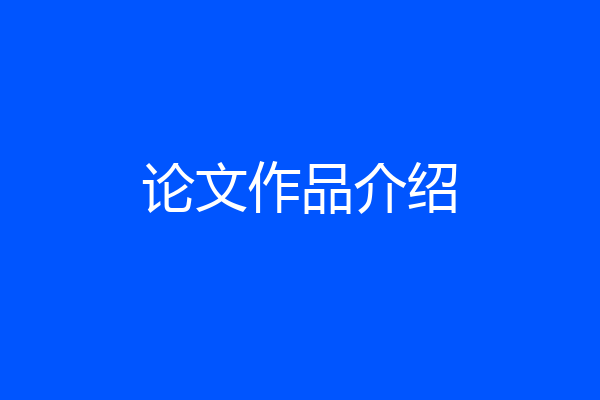 论文作品介绍
