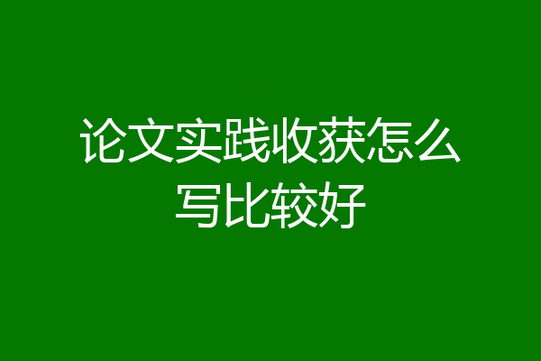 论文实践收获怎么写比较好