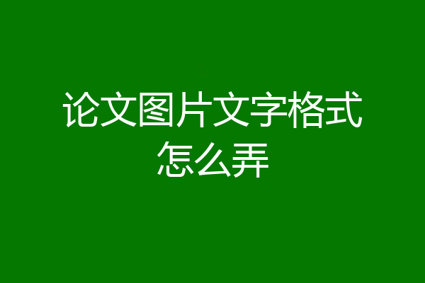 论文图片文字格式怎么弄