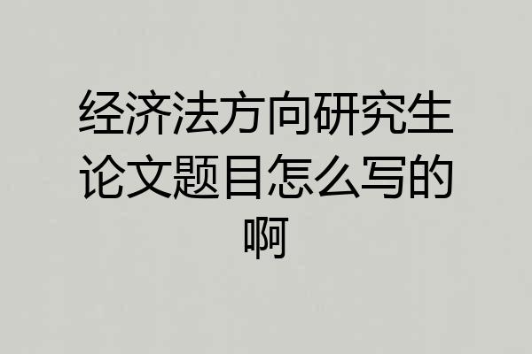 经济法方向研究生论文题目怎么写的啊