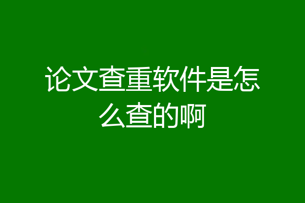 论文查重软件是怎么查的啊